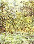 Trees Canvas Paintings - Lemon-Trees Bordighera